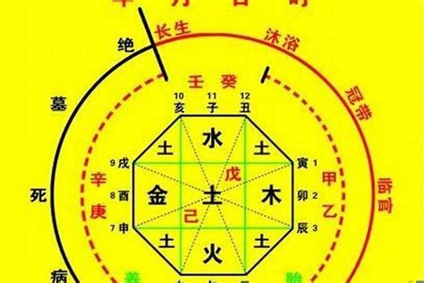 时辰八字表|生辰八字算命、五行喜用神查询（免费测算）